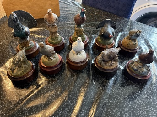 Set game bird - 10,